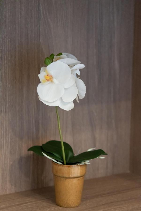 Medluxe Comfort Apartment Athene Buitenkant foto