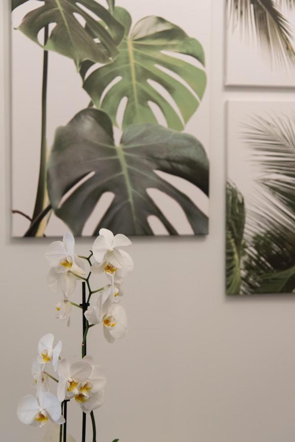Medluxe Comfort Apartment Athene Buitenkant foto